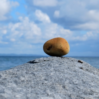 Personal Business Training